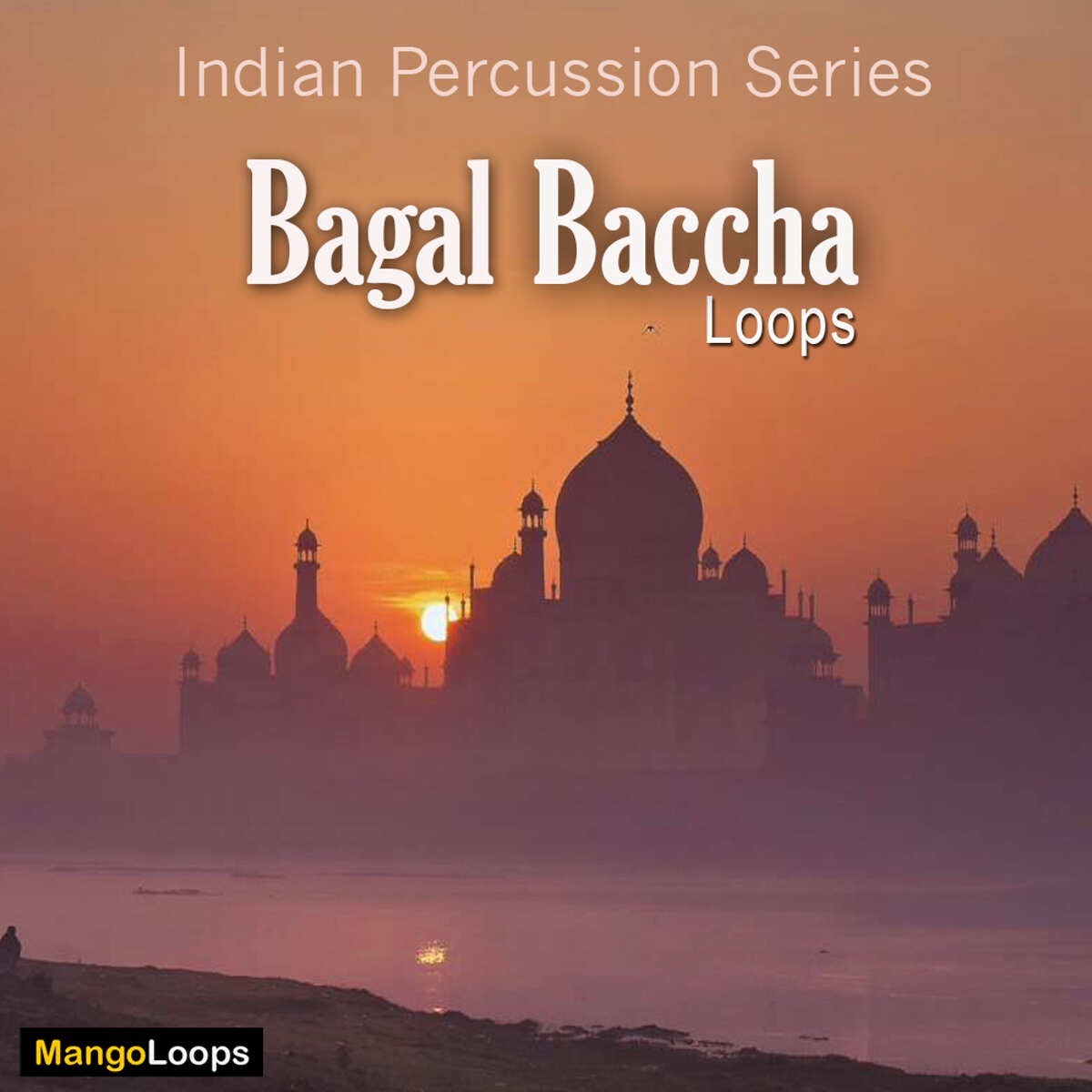 Mango Loops - Indian Percussion Series: Bagal Baccha Sample Packs Software GUI Artwork